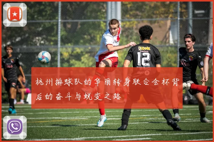 杭州排球队的华丽转身联合会杯背后的奋斗与蜕变之路