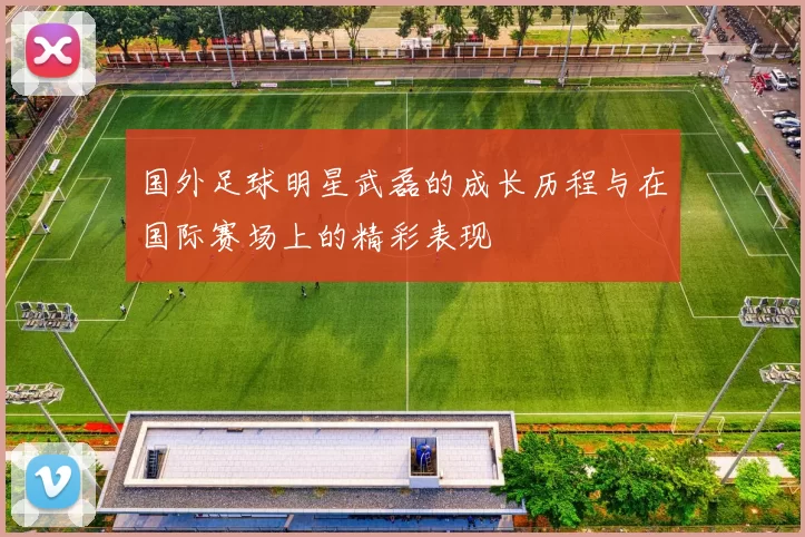 国外足球明星武磊的成长历程与在国际赛场上的精彩表现