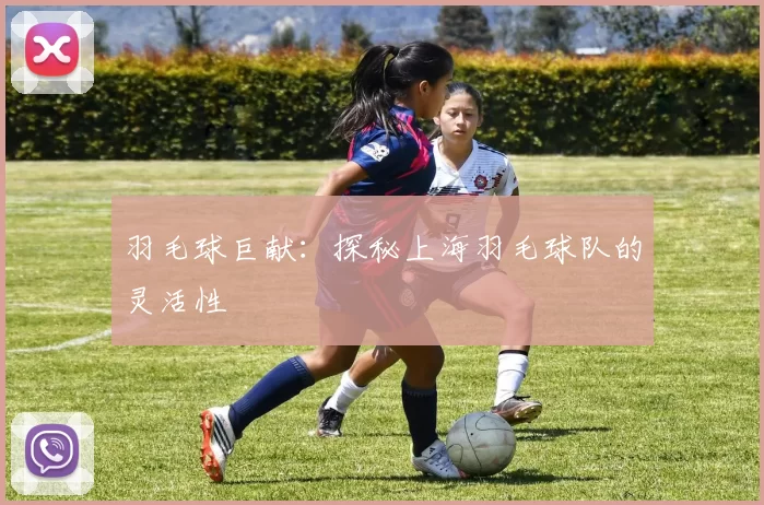 羽毛球巨献：探秘上海羽毛球队的灵活性