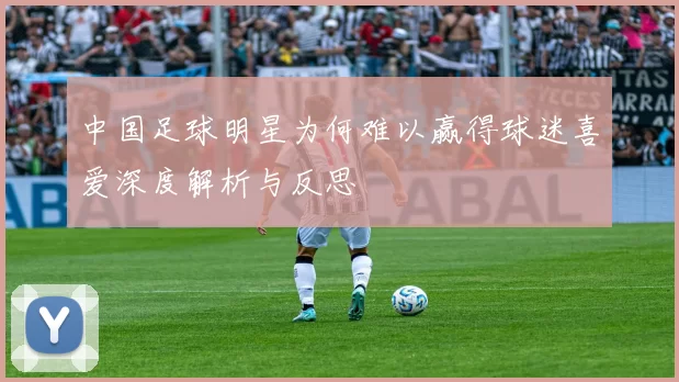 中国足球明星为何难以赢得球迷喜爱深度解析与反思